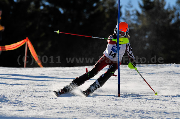 Werdenfelser Meisterschaft VSL 2011