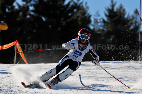 Werdenfelser Meisterschaft VSL 2011