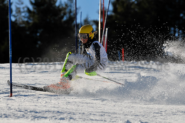 Werdenfelser Meisterschaft VSL 2011