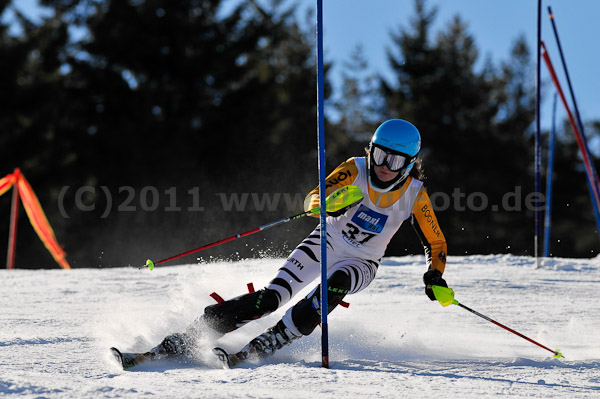 Werdenfelser Meisterschaft VSL 2011