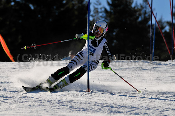 Werdenfelser Meisterschaft VSL 2011