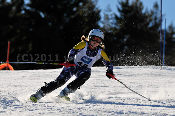 Werdenfelser Meisterschaft VSL 2011