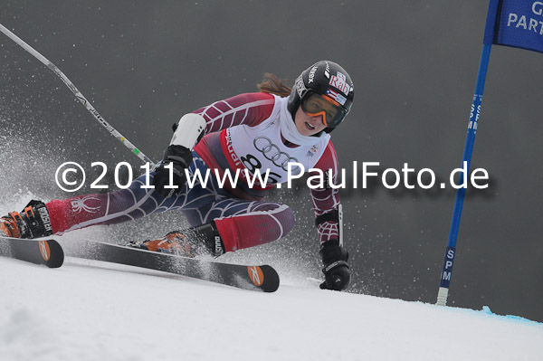 FIS Alpine Ski WM 2011