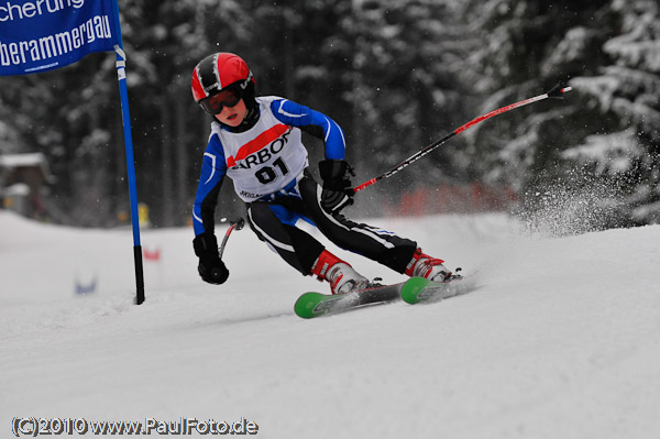 3. Zugspitzcup 2010