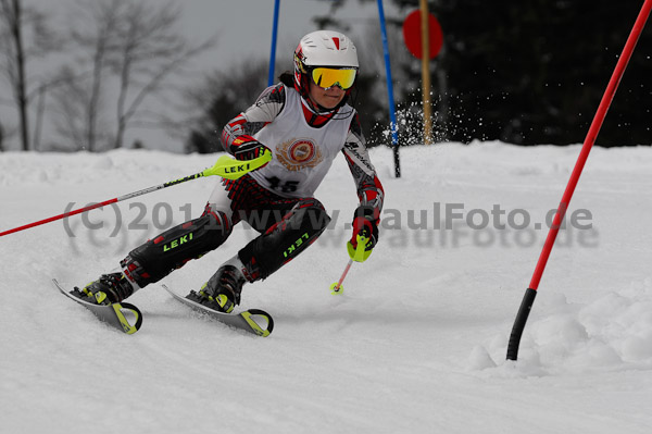 6. ASV Lena Weiss Cup 2011