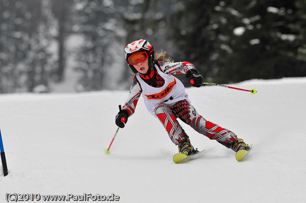 5. Ziener CUP 2010