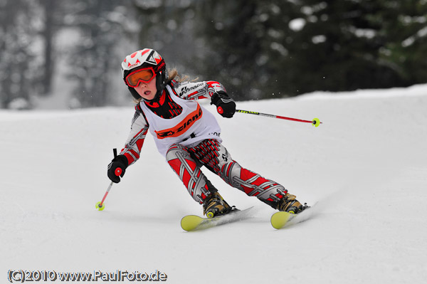 5. Ziener CUP 2010