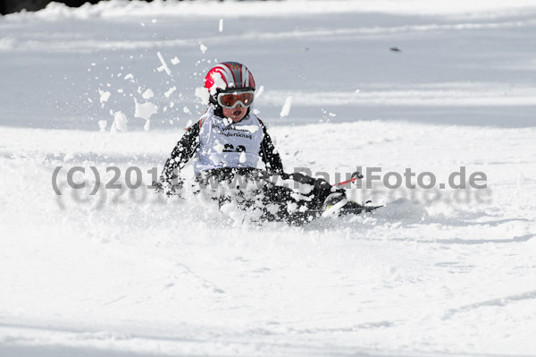 47. Int. Werdenfelser Kinderskitag 2011