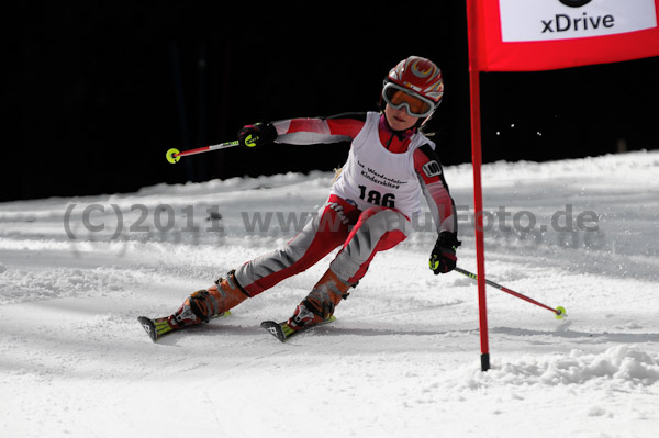 47. Int. Werdenfelser Kinderskitag 2011