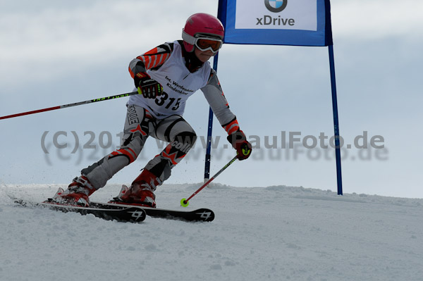 47. Int. Werdenfelser Kinderskitag 2011