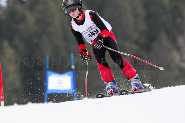 47. Int. Werdenfelser Kinderskitag 2011