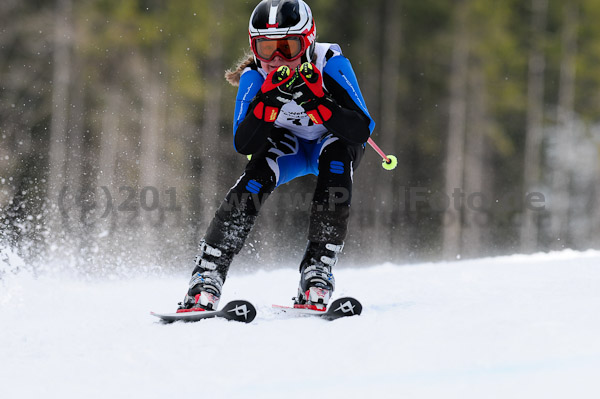 47. Int. Werdenfelser Kinderskitag 2011