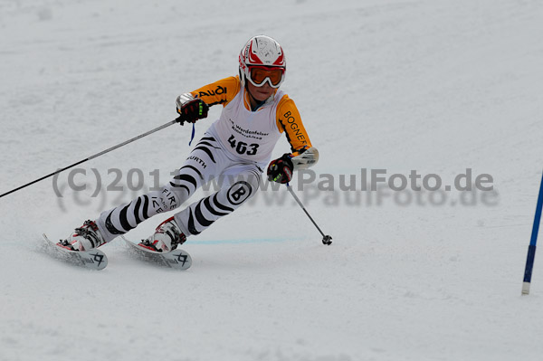 47. Int. Werdenfelser Kinderskitag 2011