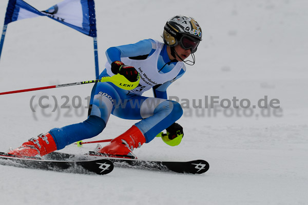 47. Int. Werdenfelser Kinderskitag 2011