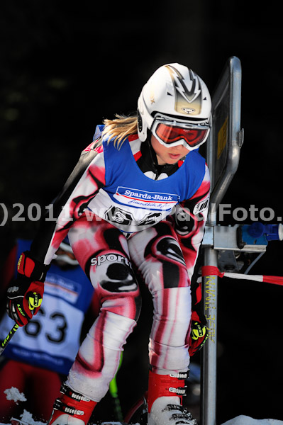 Sparda-Bank-Zugspitzcup Finale 2011