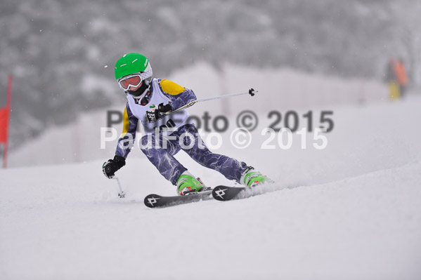 Int. Werdenfelser Kinderskitag + BZB Cup 2015