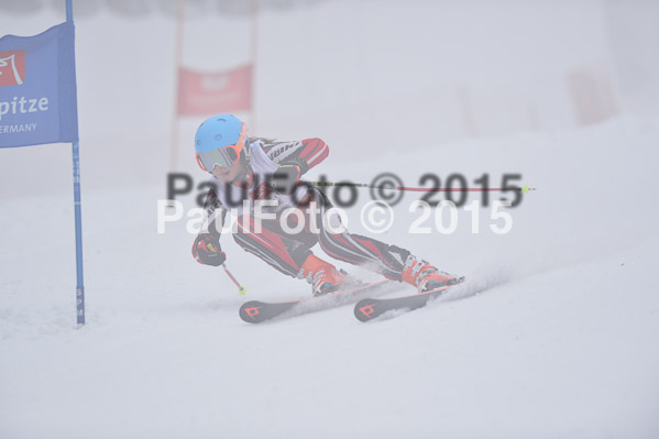 Int. Werdenfelser Kinderskitag + BZB Cup 2015