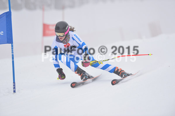 Int. Werdenfelser Kinderskitag + BZB Cup 2015