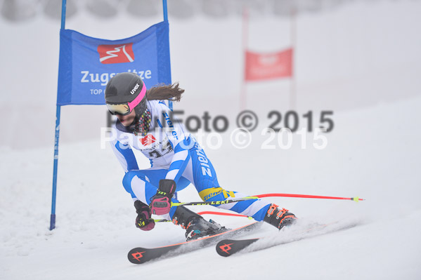 Int. Werdenfelser Kinderskitag + BZB Cup 2015