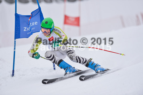 Int. Werdenfelser Kinderskitag + BZB Cup 2015