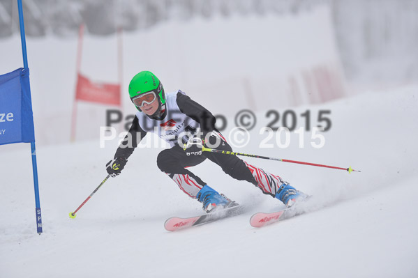 Int. Werdenfelser Kinderskitag + BZB Cup 2015