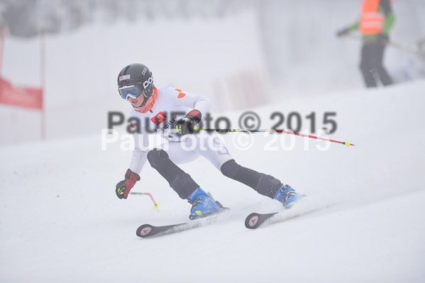 Int. Werdenfelser Kinderskitag + BZB Cup 2015