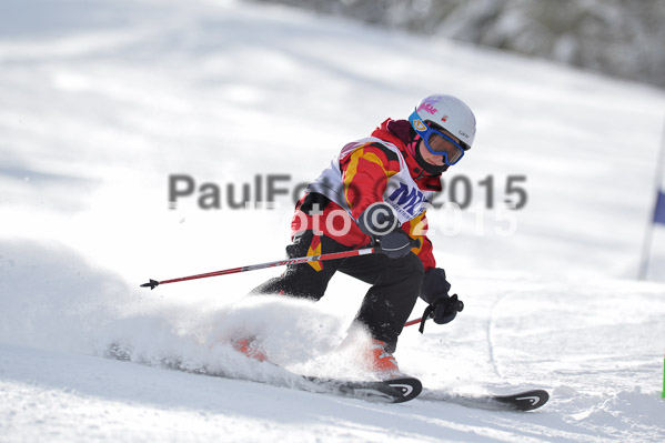 Skikreismeisterschaft STA 2015