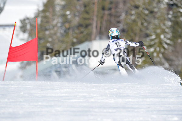 Skikreismeisterschaft STA 2015