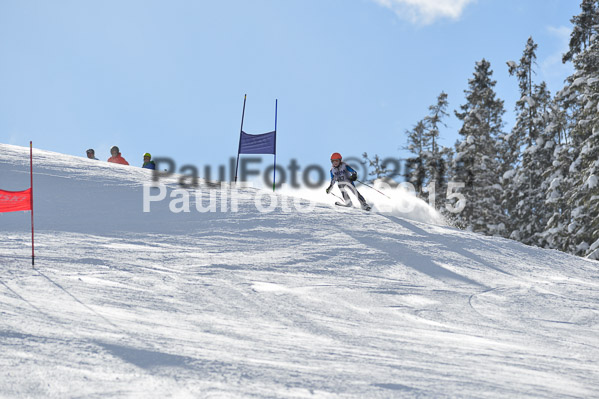 Skikreismeisterschaft STA 2015