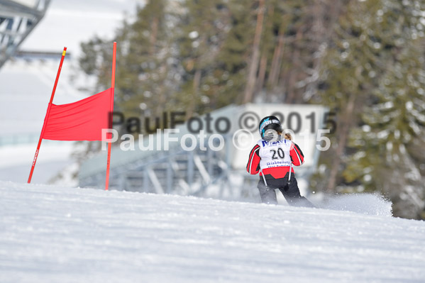 Skikreismeisterschaft STA 2015