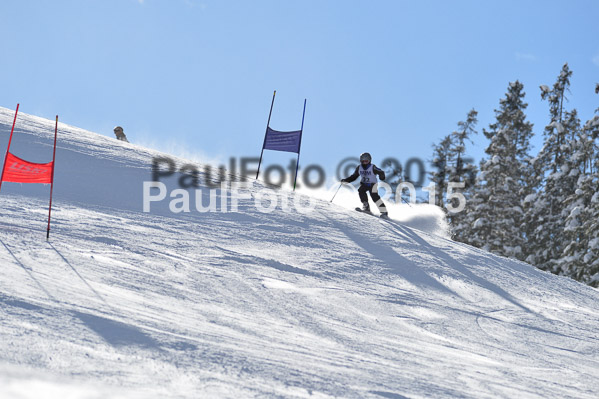 Skikreismeisterschaft STA 2015