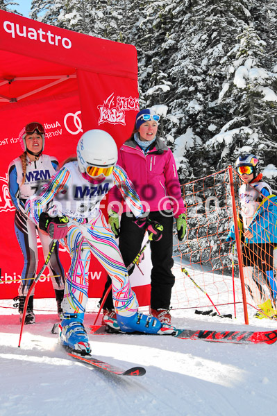 Skikreismeisterschaft STA 2015