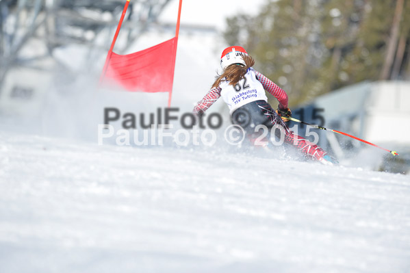 Skikreismeisterschaft STA 2015