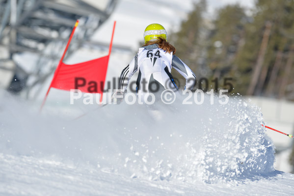 Skikreismeisterschaft STA 2015