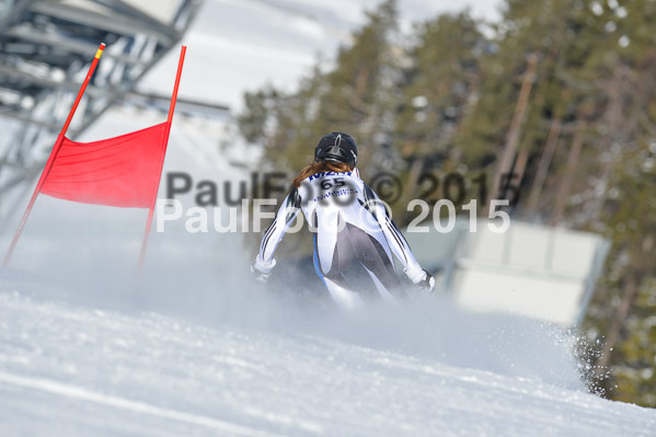 Skikreismeisterschaft STA 2015