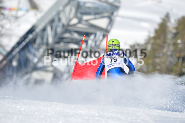 Skikreismeisterschaft STA 2015