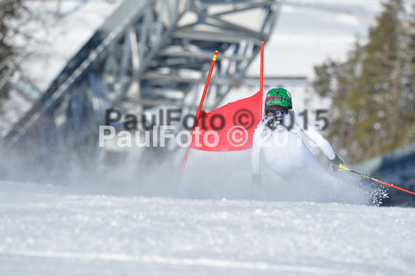 Skikreismeisterschaft STA 2015