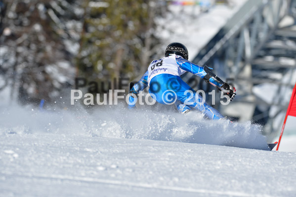 Skikreismeisterschaft STA 2015