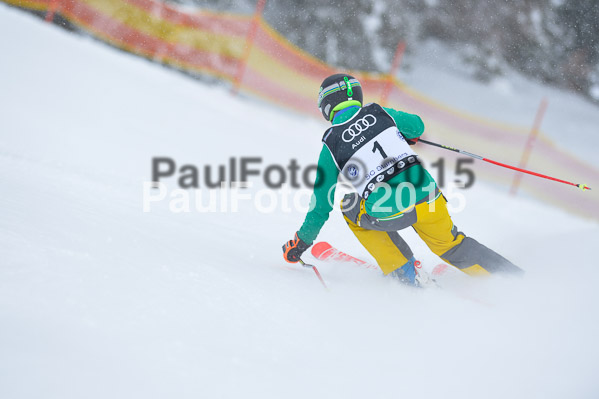 Skikreismeisterschaft STA 2015