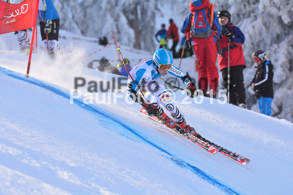 NJC Rennen Herren SK Super-G 2015