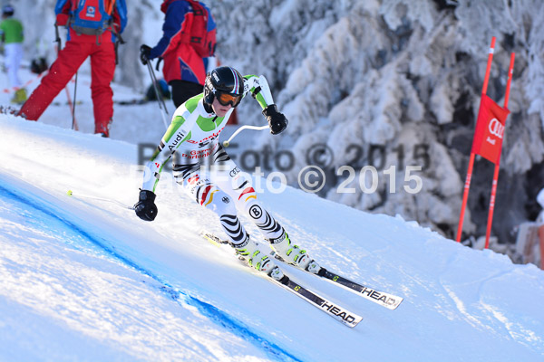 NJC Rennen Herren SK Super-G 2015