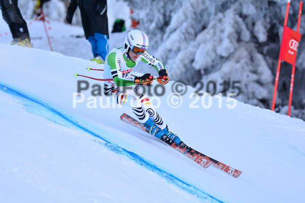 NJC Rennen Herren SK Super-G 2015