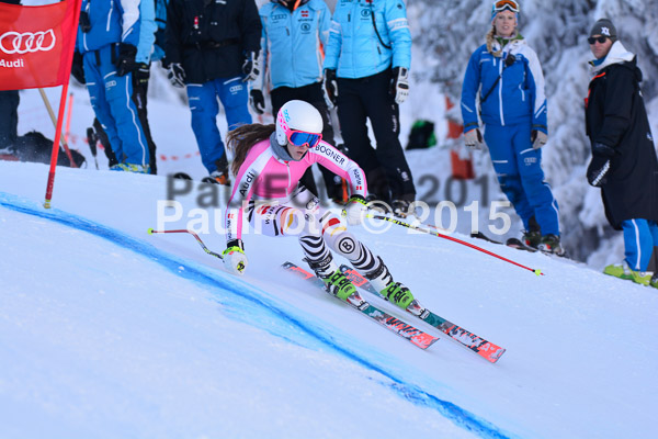 NJC Rennen Herren SK Super-G 2015