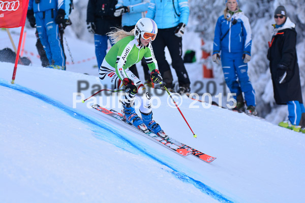 NJC Rennen Herren SK Super-G 2015