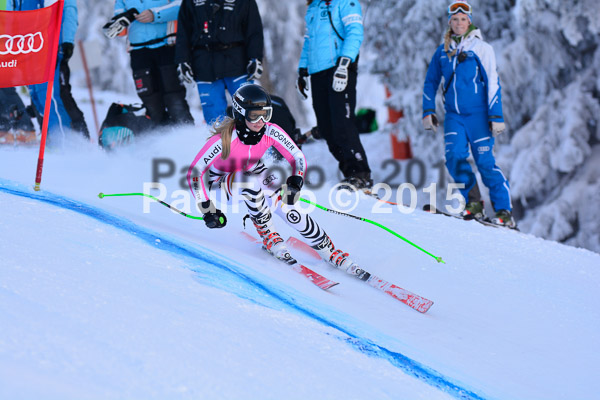 NJC Rennen Herren SK Super-G 2015