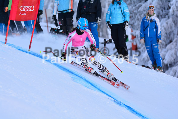 NJC Rennen Herren SK Super-G 2015