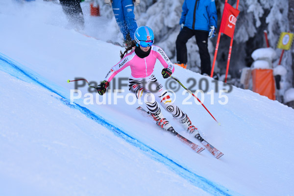 NJC Rennen Herren SK Super-G 2015