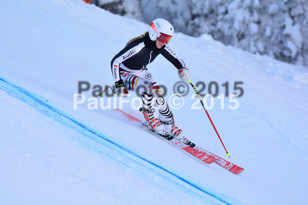 NJC Rennen Herren SK Super-G 2015