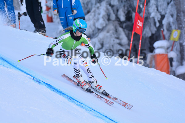 NJC Rennen Herren SK Super-G 2015