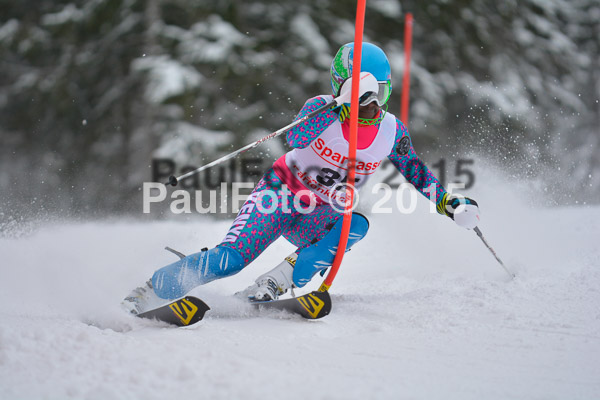 FIS SG + NJC Superkombi Damen 2015